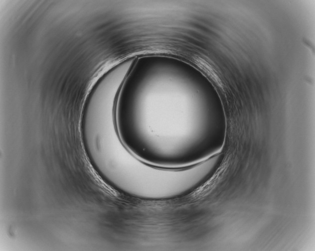 X0000096430797200802071724