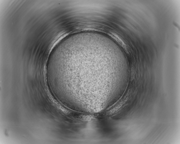 X0000096430798200802071724