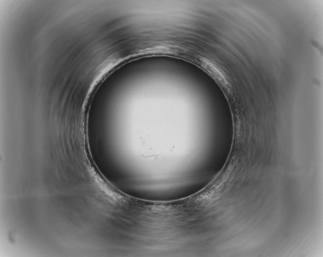 X0000096430800200802071724