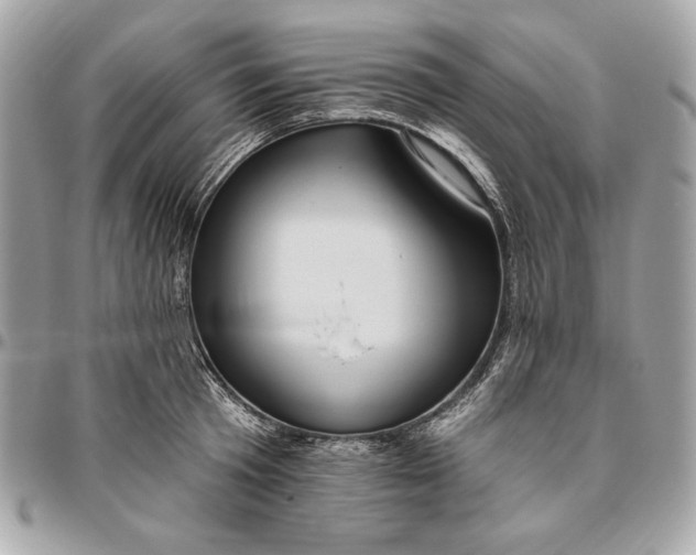 X0000096430801200802071724