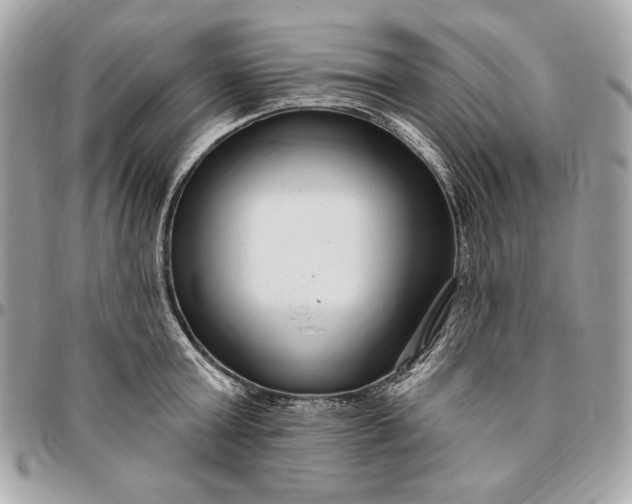 X0000096430803200802071724