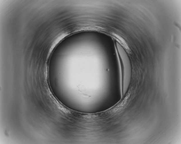 X0000096430804200802071724