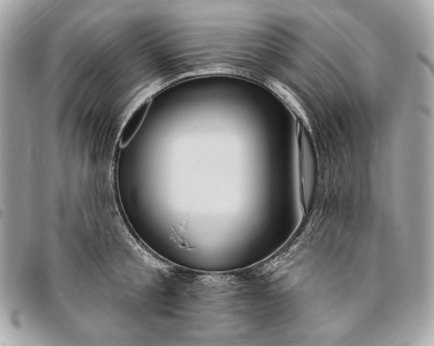 X0000096430805200802071724