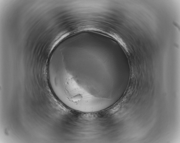 X0000096430806200802071724