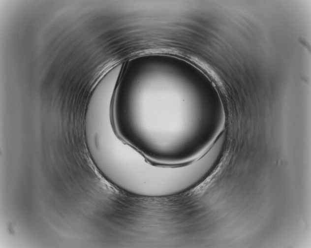 X0000096430809200802071724