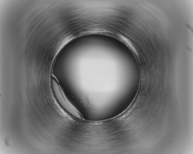 X0000096430810200802071724