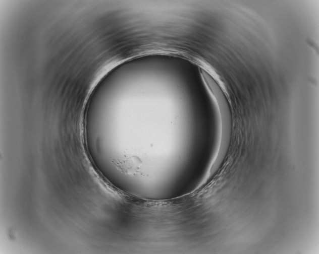 X0000096430811200802071724
