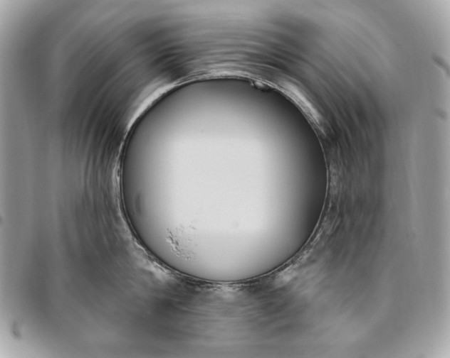X0000096430814200802071724