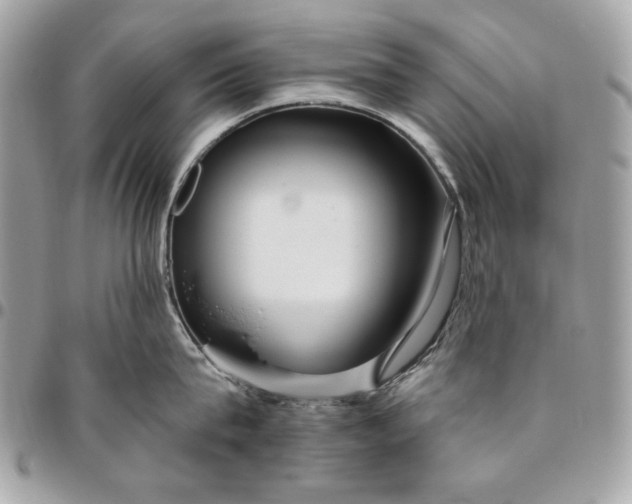 X0000096430815200802071724
