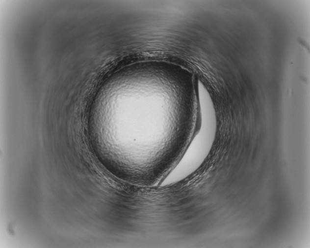 X0000096430817200802071723