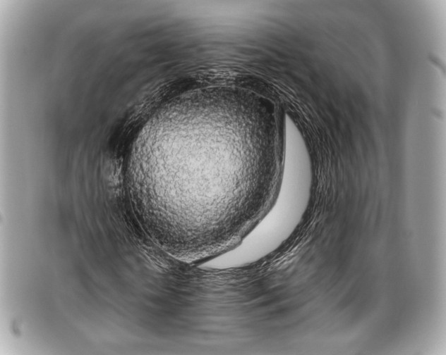 X0000096430818200802071723