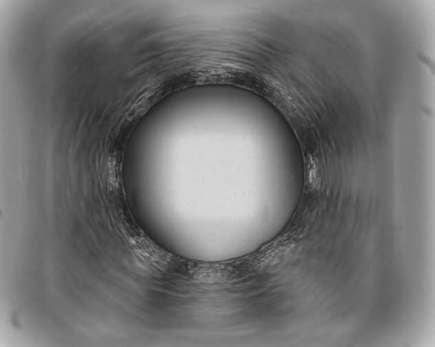 X0000096430819200802071723