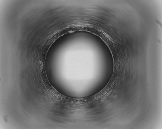 X0000096430821200802071723