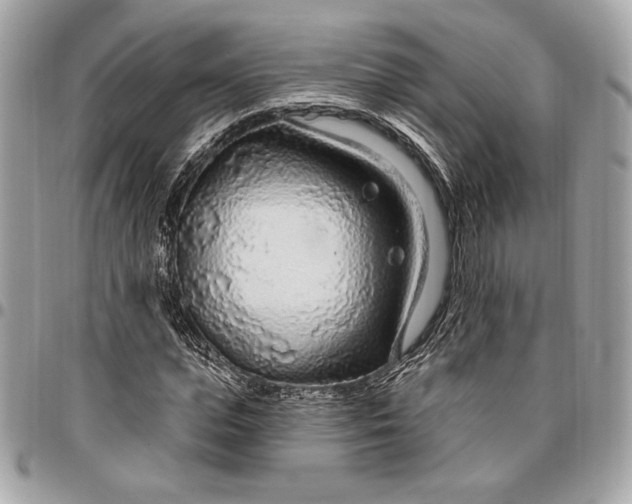 X0000096430823200802071723