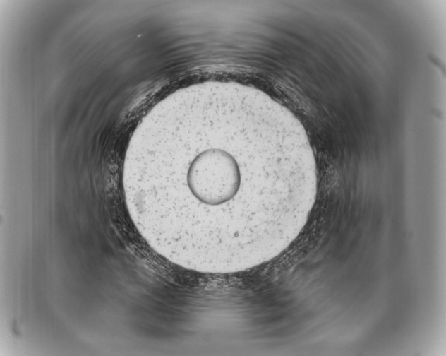 X0000096430824200802071723