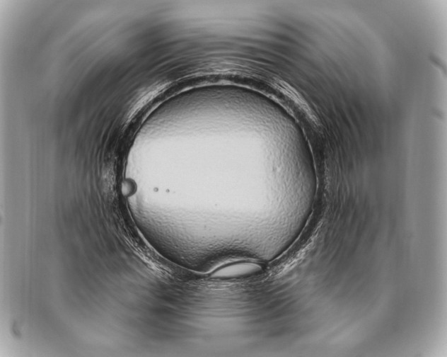 X0000096430826200802071723