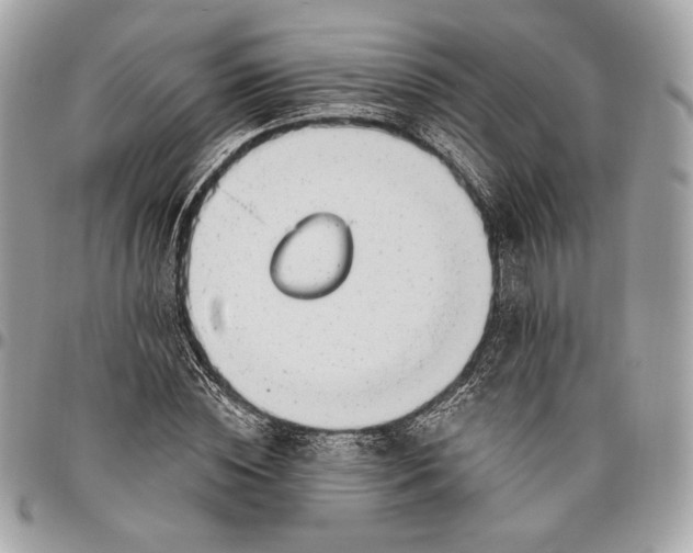 X0000096430828200802071723