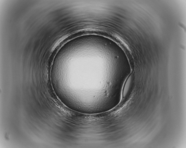 X0000096430829200802071723