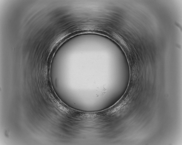 X0000096430831200802071723