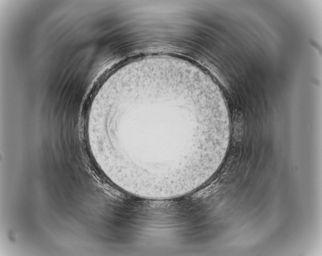 X0000096430832200802071723