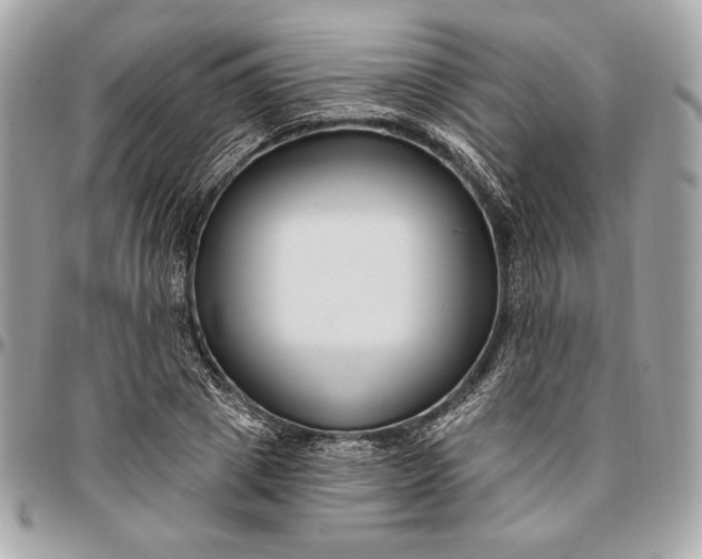 X0000096430833200802071723