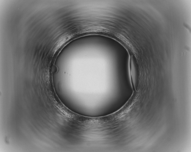 X0000096430834200802071723