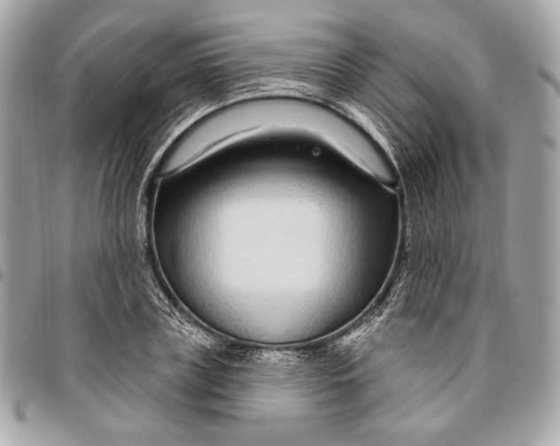 X0000096430835200802071723