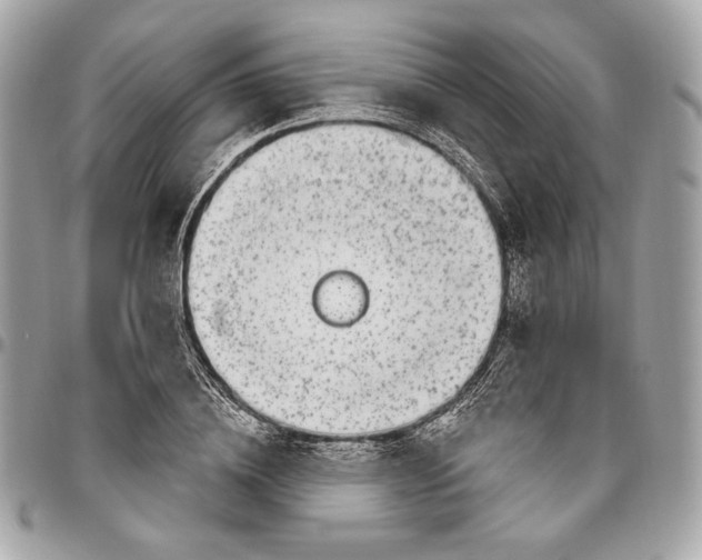 X0000096430836200802071723