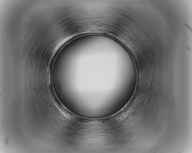 X0000096430838200802071723