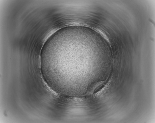 X0000096430839200802071723