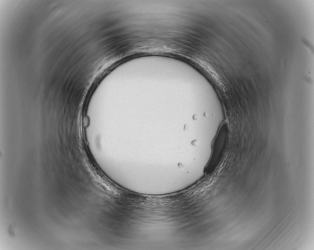 X0000096430840200802071723
