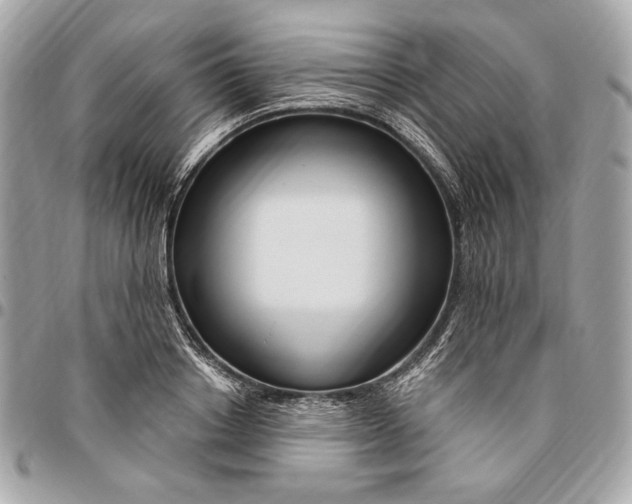 X0000096430842200802071724
