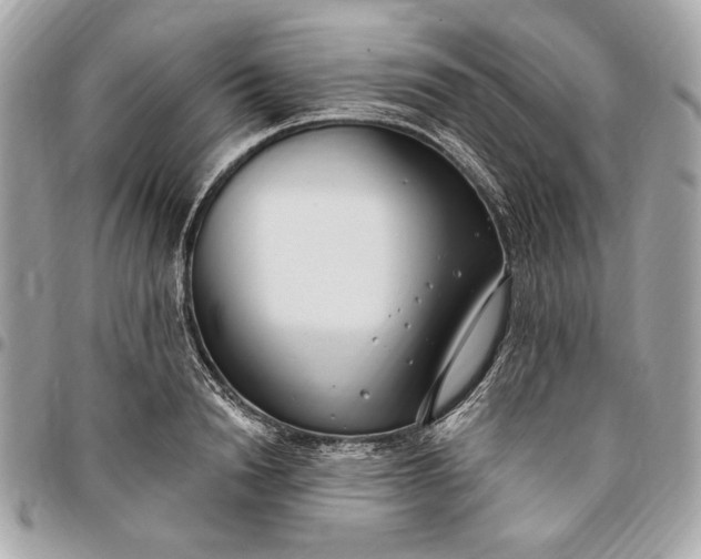X0000096430846200802071724