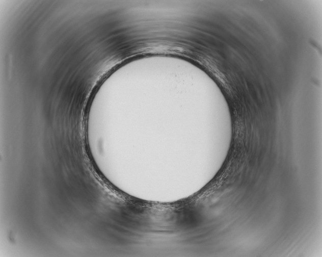 X0000096430848200802071724