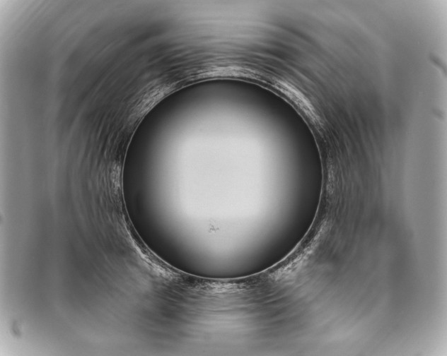 X0000096430849200802071724