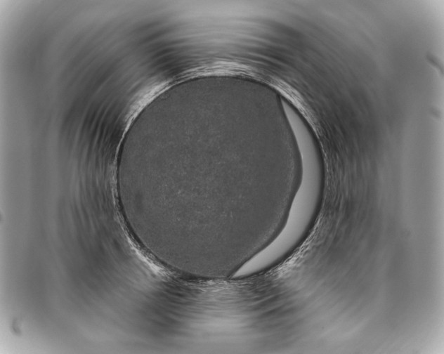 X0000096430850200802071724