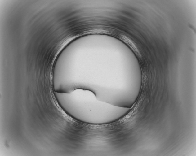 X0000096430852200802071724