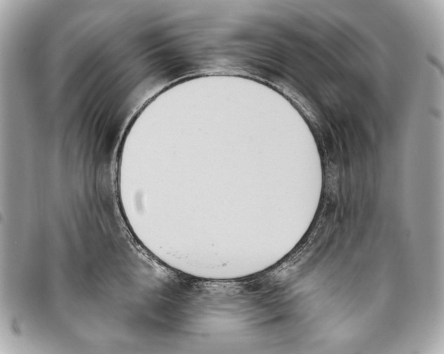 X0000096430856200802071724
