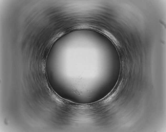 X0000096430857200802071724
