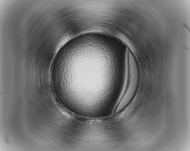 X0000096430858200802071724