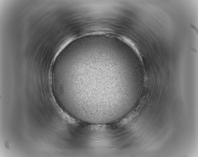 X0000096430859200802071724