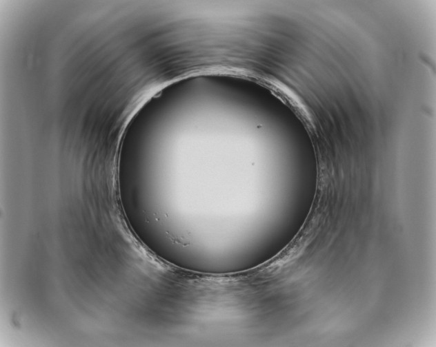 X0000096430860200802071724