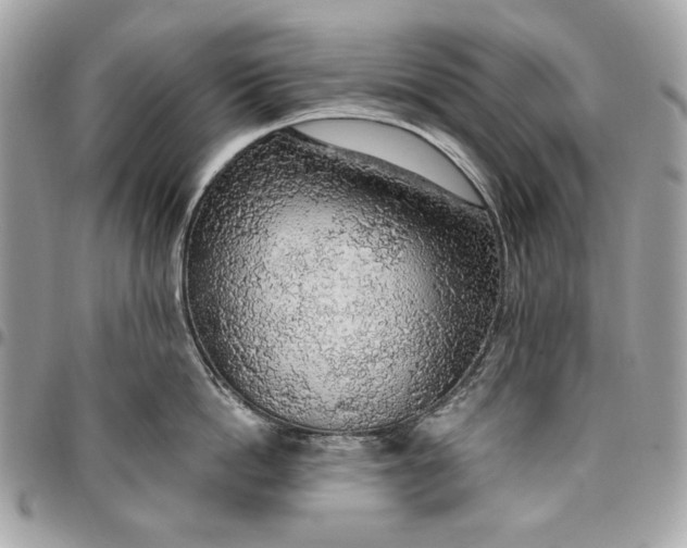 X0000096430862200802071724