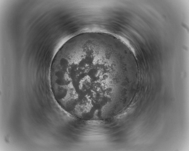 X0000096430863200802071724