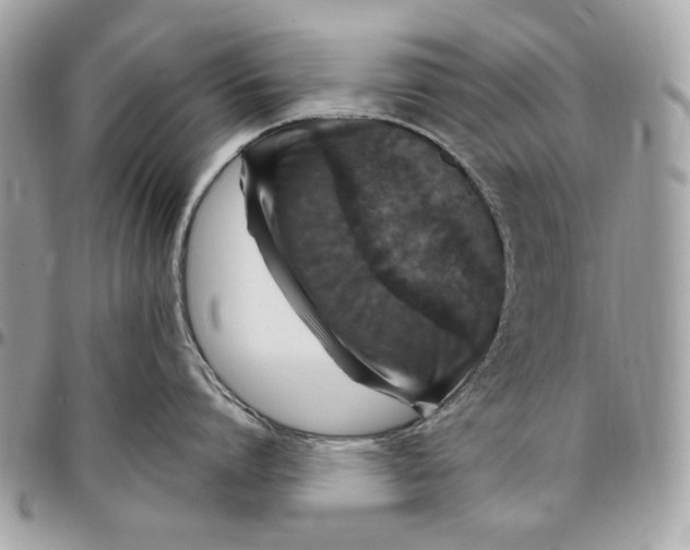 X0000096430864200802071724