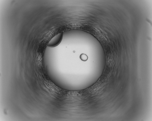 X0000096430866200802071723