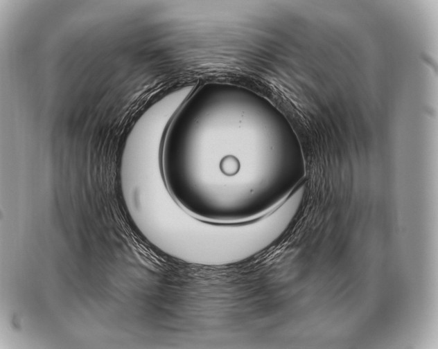 X0000096430868200802071723