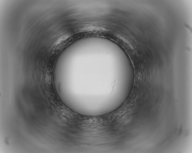 X0000096430869200802071723