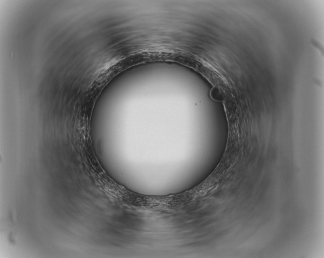 X0000096430870200802071723