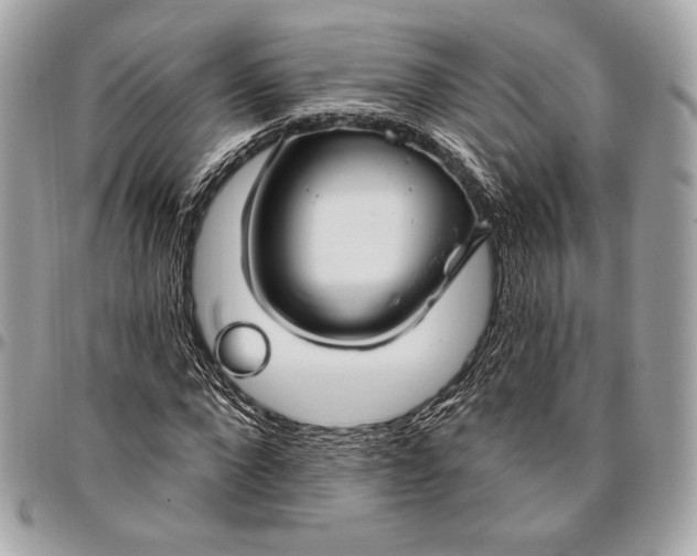 X0000096430872200802071723